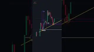 The Best Forex Trading Tips for Beginners