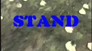 Custer's US 7th cavalry