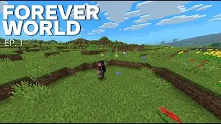 Minecraft Forever World Easy/Peaceful Long play Part 1 (no commentary)