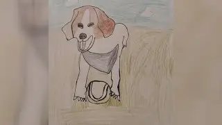 Elmwood animal shelter raises thousands with 'Poorly Drawn Pet' fundraiser