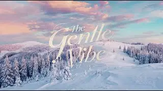 Higher Than the Noise | Gently Winter Soul