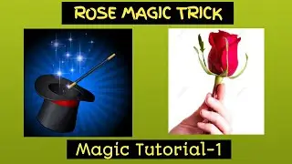 Rose Magic Trick | Flower magic trick | Easy magic tricks |