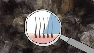 Stop using shampoo #storyhopper
