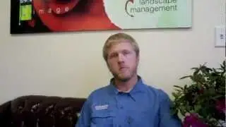 Best Chemical Weed Control Methods.mp4