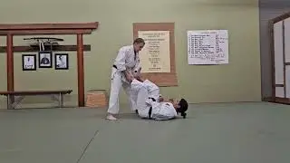 Standing Hip Post Defense