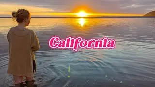 Tallest Trees on Earth to Camping at Trinity Lake, California | Klamath Bay, Trinity Center KOA