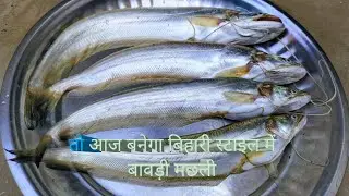 आज बनेगा बाबरी मछली #fish #arti #artiartiiscomeback  
