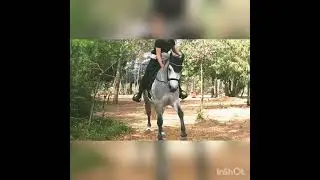 Petit entra&icirc;nement de Tir &agrave;  l'arc &agrave; cheval🎯