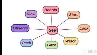 Synonyms  of see, peek Look watch behold gaze observation stare