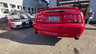 1999 Ford Mustang Cobra 4v Cammed (Stage 3 Comp Cams)