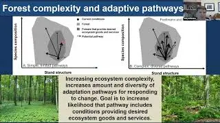 Localizing Forest Adaptation Strategies to Diverse Northeastern Forest Ecosystems and Threats