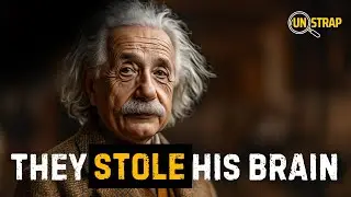 Einstein&rsquo;s Brain Was Stolen and Chopped Up Into Tiny Pieces?