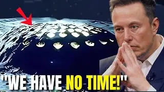 Elon Musk: 