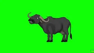 how to cow green screen videos copyright free green screen videos