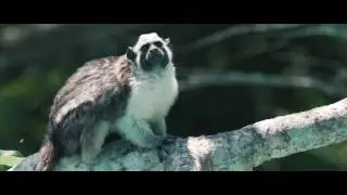 Panama's Natural Beauty