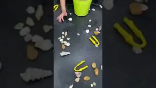 Building fine motor skills _ sea shells#dubaimums #eyfslearning #اكسبلور #uae #dubai #syria #latakia