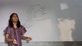 Golgi bodies 🎯 NEET prepration