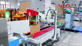 Precision Placement,Gentle Grabbing, Double the Efficiency &ndash; Case Packing and Palletizing Solutions!
