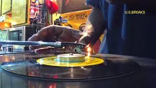 Needle dropping chicken heads.