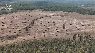 This is what deforestation looks like in Queensland, Australia.