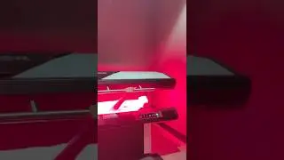 What happened after laying under red light therapy for 15 minutes&hellip;
