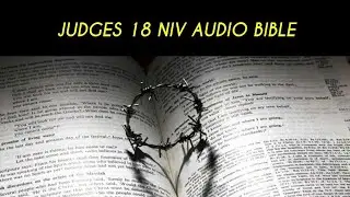 JUDGES&nbsp;18 NIV AUDIO BIBLE (with text)