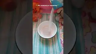 #ШИНШИЛЛА 🌺 SPA 🌺/ Для поднятия настроения 😉/#милое #funnypets #chinchilla #shorts