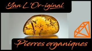 Les pierres organiques : Ambre , corail et perles