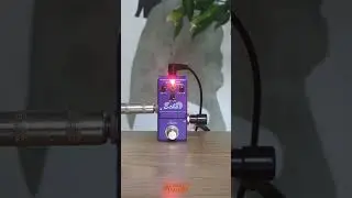 Can the Smallest Delay Pedal Sound Good?!