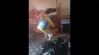Сколько времени занимает процесс фумигации?