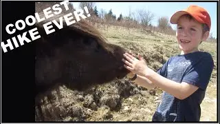 WE HIKED with WILD PONIES! || Come With Us || Grayson Highlands State Park