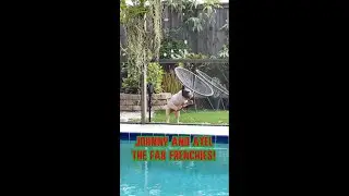 Frenchie Catches a Lizard in Epic Slow Motion! 🐶🦎🎥