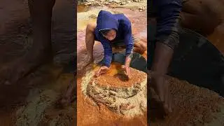 wow😱amazing!!!gold rust in a small puddle contains hundreds to millions of gold dust #gold