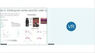 Demo: BANKSY unifies cell typing and tissue domain segmentation for scalable spatial omics analysis