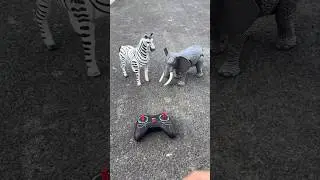 RC Remote Control Two Zebra 🦓 And Elephant 🐘 Unboxing Deko 🔥