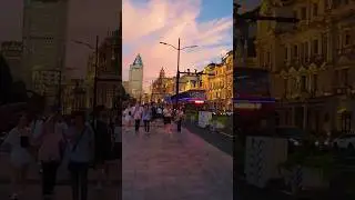 Walking in Shanghai The Bund #The Bund #shorts #shanghai