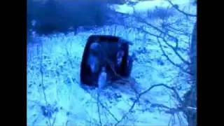 sledgin