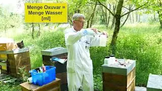 🐝 Bienenfachberatung: Erste Varroabehandlung der Ableger mit Oxals&auml;ure