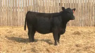 DS018