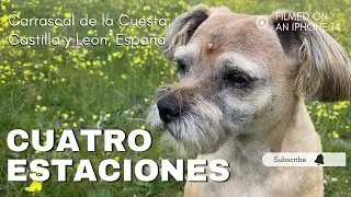 CUATRO ESTACIONES: Carrascal de la Cuesta, Segovia, Castilla y León