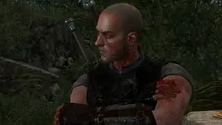 Wiedźmin 3 Co się stało w Dobrowie oczami Kota  ( Witcher 3)