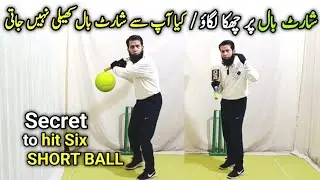 Improve to play Pull shot in tennis cricket I hit sixes vs short ball in cricket I cricket vlog