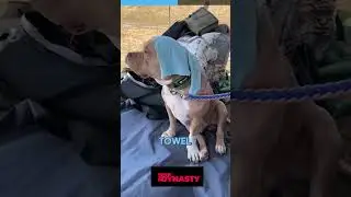 This thing can put your dog in danger | Cold Water is DANGEROUS for Dogs - Here's Why