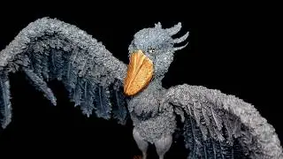 I made a Shoebill Stork...out of polymer clay! : Sculpting tutorial