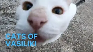 [HD] Walking In The Vasiliki Village &Omicron;f Lefkada 🇬🇷