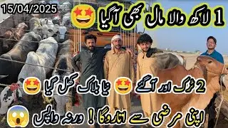 5 Trucks Arrived 😍||Northern Bypass Mandi Latest 1Lac To 4 lac Open Market 15/04/2025|vlogwithosama