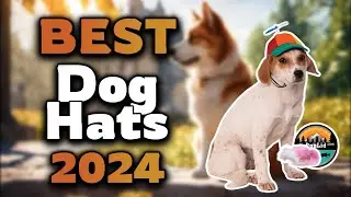 Top Best Dog Hats in 2024 & Buying Guide - Must Watch Before Buying!