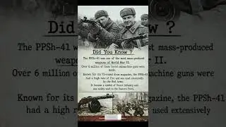 PPSh-41 | Special WW2 Guns