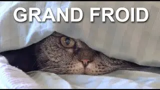 7 CONSEILS POUR SURVIVRE AU GRAND FROID (quand on est un chat)