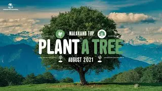 August 2021  | Plant a Tree  | Malakand Top Initiative | Plantation Drive in Khyberpakhtunkhwa